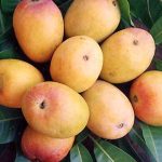 Incredible Health Benefits Of Eating Mango Every Day