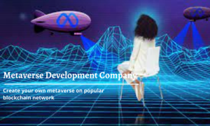 Best Metaverse Software Development