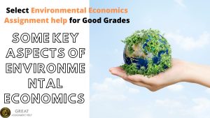 Environmental Economics Assignment help