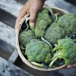 Here are the amazing benefits of broccoli for men