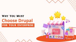 Why You Must Choose Drupal for Your Enterprise 