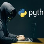 python web development company